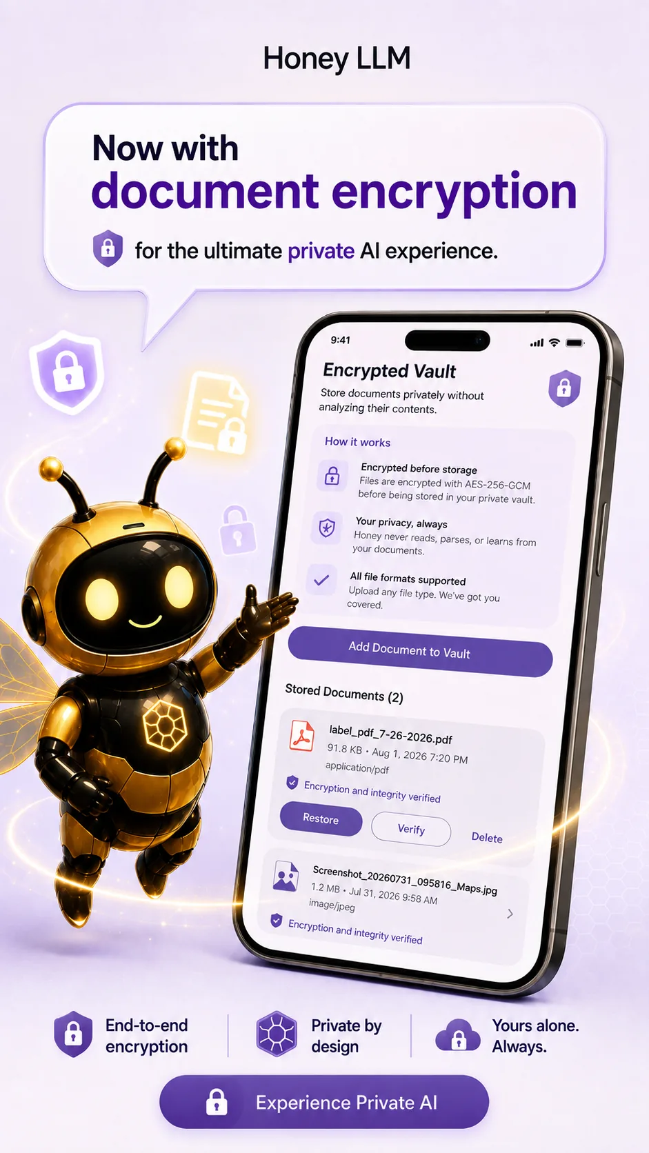 Encrypted Vault promotional graphic