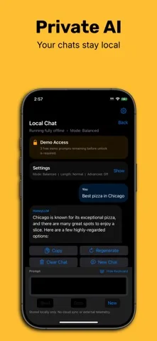 iPhone local chat interface